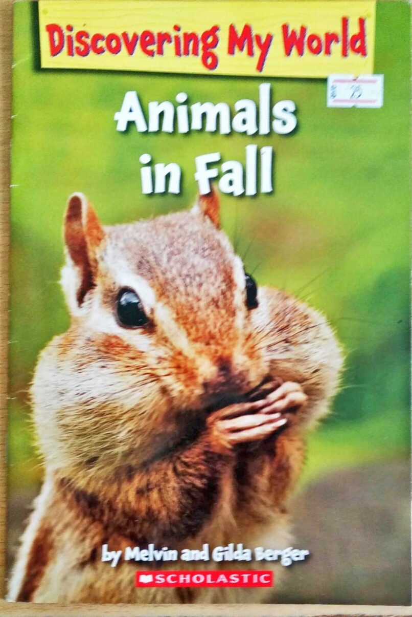 Home passarobooks